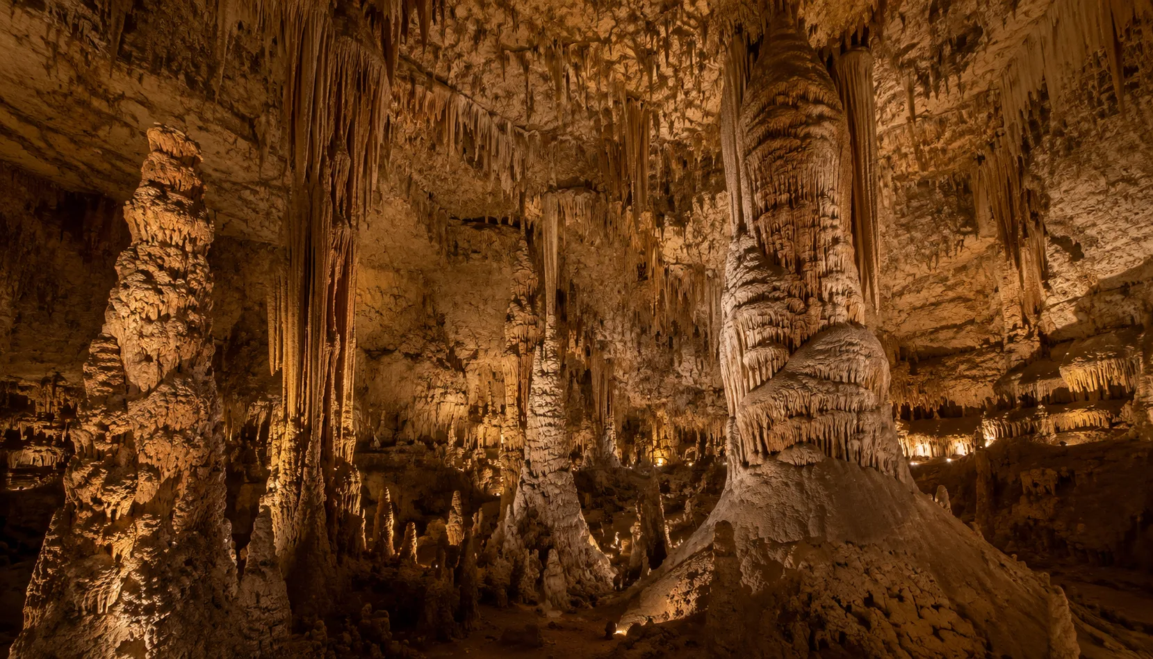 Natural Bridge Caverns + Wildlife Ranch