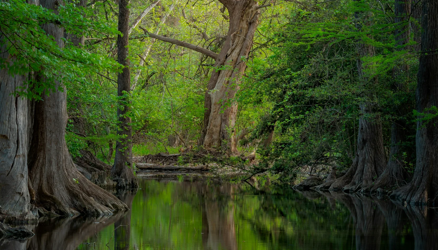 Wimberley