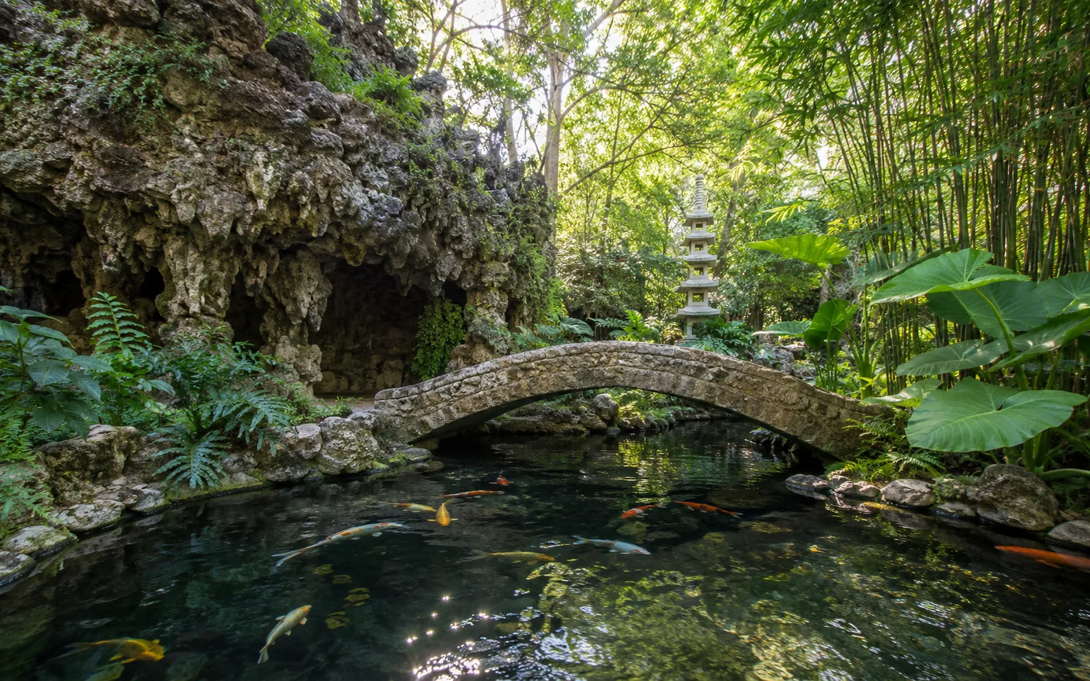San Antonio Zoo and museum family day