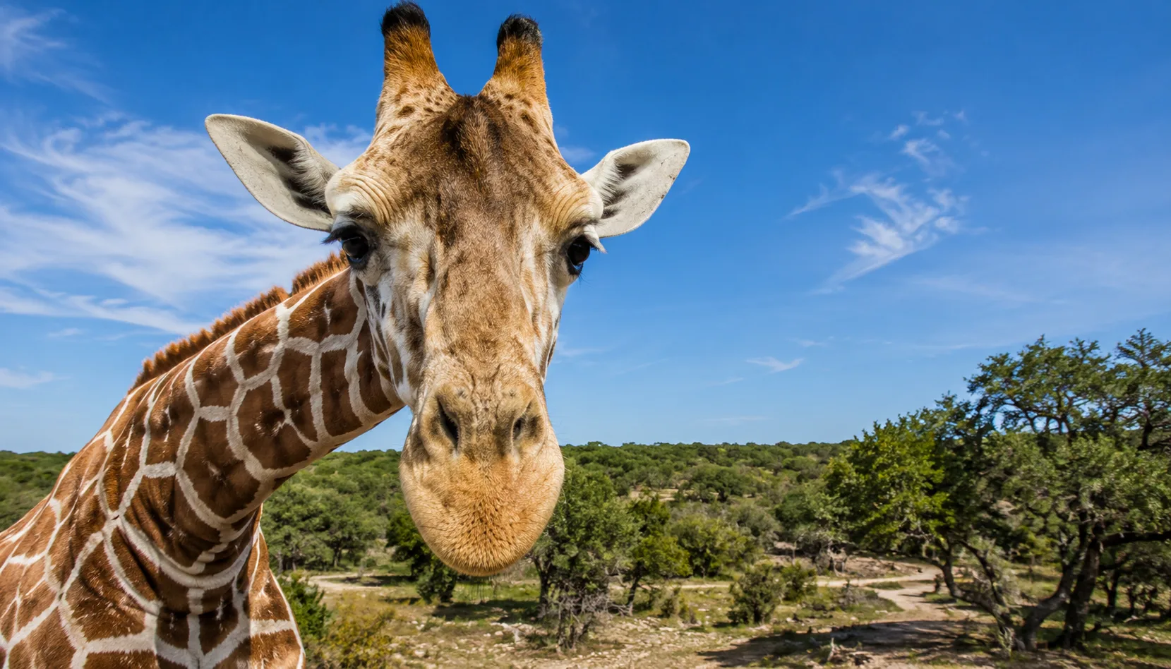 Natural Bridge Wildlife Ranch San Antonio
